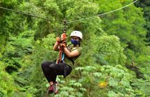Rainforest Canopy Adventure Pacific