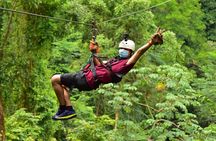 Rainforest Canopy Adventure Pacific