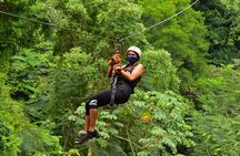 Rainforest Canopy Adventure Pacific