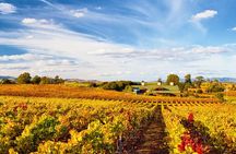 Muir Woods & Wine Tour: Redwoods & Tastings at 3 Wineries