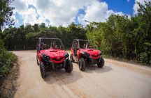 Jungle Buggy Tour from Playa del Carmen Including Cenote Swim