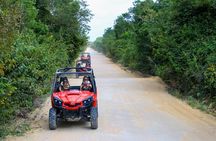 Jungle Buggy Tour from Playa del Carmen Including Cenote Swim