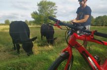 E-biking Central Forgotten Giants' s Adventure