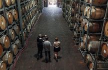 Small Group McLaren Vale and The Cube Experience