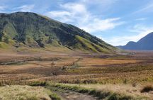 1Day - Bromo Non Sunrise Tour via Malang (to avoid crowd)