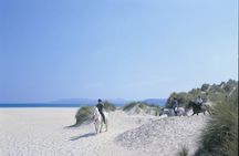 Beach & countryside horse riding outside Westport. Guided. 1 hour