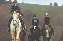 Beach & countryside horse riding outside Westport. Guided. 1 hour