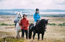 Beach & countryside horse riding outside Westport. Guided. 1 hour