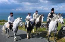 Horse riding - Dirt Trek Trail. Lisdoonvarna, Clare. Guided. 1 hour.