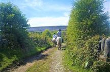 Horse riding - Dirt Trek Trail. Lisdoonvarna, Clare. Guided. 1 hour.