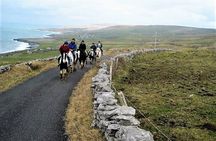 Horse riding - Dirt Trek Trail. Lisdoonvarna, Clare. Guided. 1 hour.