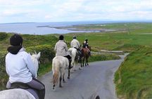Horse riding - Dirt Trek Trail. Lisdoonvarna, Clare. Guided. 1 hour.