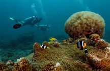 Open Water Diver Course