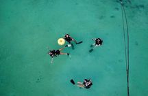 Open Water Diver Course