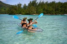 Eco guided excursion to the lagoon of Moorea in transparent kayak 1/2 day morning