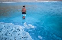 Private Amman, Jerash, and Dead Sea Full-Day Transfers from Amman