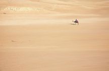 Sunset Safari Tour By Horse or Camel Ride