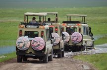 6-Day Big Five Magic Safari Tour