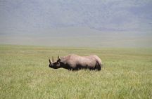 6-Day Big Five Magic Safari Tour