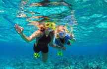 Sharm El-Sheikh: Red Sea Scuba Diving Day Trip