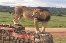 Nairobi National Park safari Experience