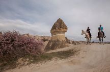 Horse Back Riding Tour