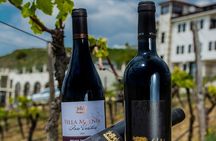 Wine Tasting & More in Villa Melnik – One of the World’s Best Wineries