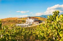 Wine Tasting & More in Villa Melnik – One of the World’s Best Wineries