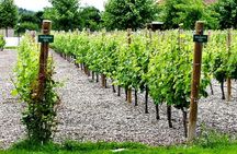 Midalidare Estate Wine Tasting & Activities