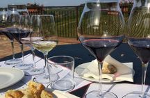 Casa Emma Wine Tasting 