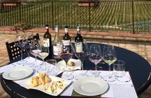 Casa Emma Wine Tasting 