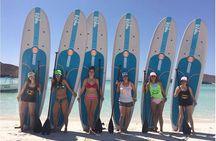 1 Day Espiritu Santo Island Wonders, Sea Lions and Paddleboard Adventure 