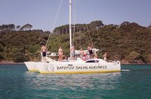 Sundowner Evening Cruise - 2 hour evening sailing cruise with swim stop