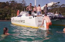 Sundowner Sailing Cruise— 2 Hour Sail, Swim Stop | Bay of Islands