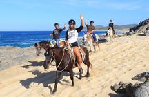 2 Hours Horseback Riding Adventure in Cabo