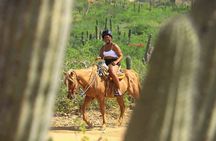2 Hours Horseback Riding Adventure in Cabo