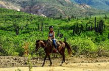 2 Hours Horseback Riding Adventure in Cabo