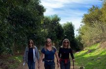 Guided Hiking Experience in Ojai