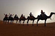 3 Days Desert Tour From Marrakech To Merzouga Dunes & Camel Trek
