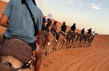 Fes To Marrakech : 3 Days Tour Via The Desert Of Merzouga & Camel