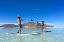 1 Day Espiritu Santo Island Wonders, Sea Lions and Paddleboard Adventure 
