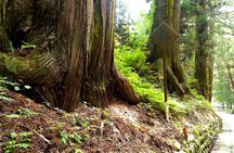 From Tokyo: Nikko Full Day Private Tour by Private Vehicle