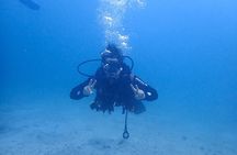 Basic Diver course for beginners with 1 dive in the Ocean