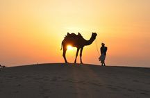 Private Desert Safari Dubai with BBQ Dinner and Belly Dance 