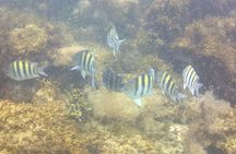 Aqua Aventura - diving for families