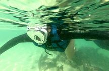 Tour to Bombinhas with Snorkeling Experiência