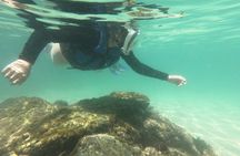 Aqua Aventura - diving for families