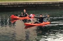 4 Hour Single Kayak Rental In Crystal River, Florida