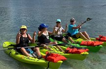 4 Hour Single Kayak Rental In Crystal River, Florida