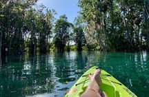4 Hour Single Kayak Rental In Crystal River, Florida